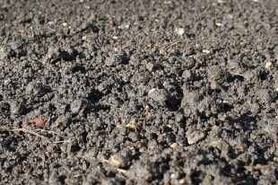 В Орловской области фермера обязали провести оценку качественного состояния почв