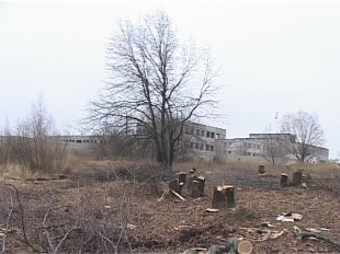 А дубы в городе Орле теперь ничего не стоят?! А дубы в городе Орле теперь ничего не стоят?!