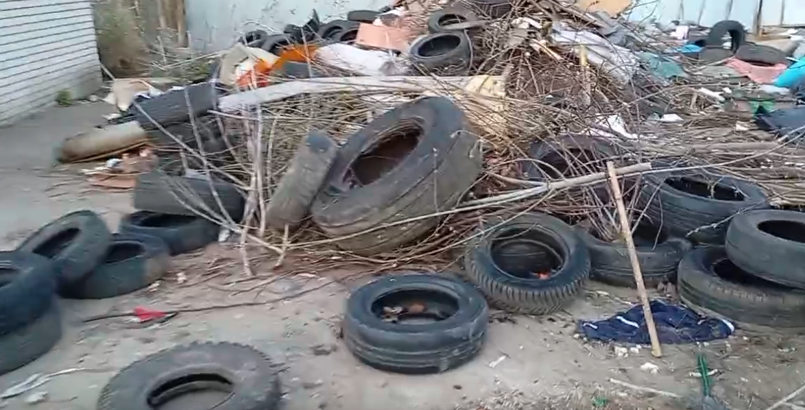 Результаты субботника продемонстрировала жительница деревни Жилина Орловского МО