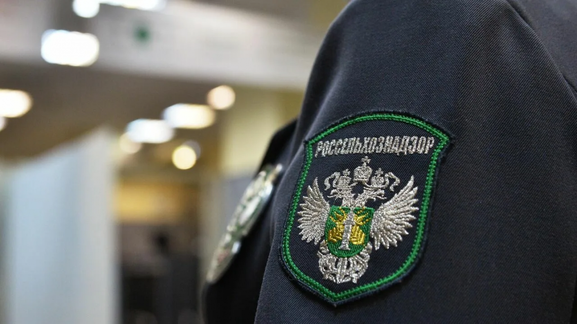 В Орловской области разоблачили фантомное производство молочной продукции