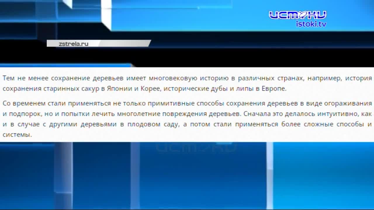 Еще несколько дней назад ему прочили продолжение жизни, но накануне пришла печальная весть. Дуб, посаженный в честь отмены Крепостного права, чиновник...