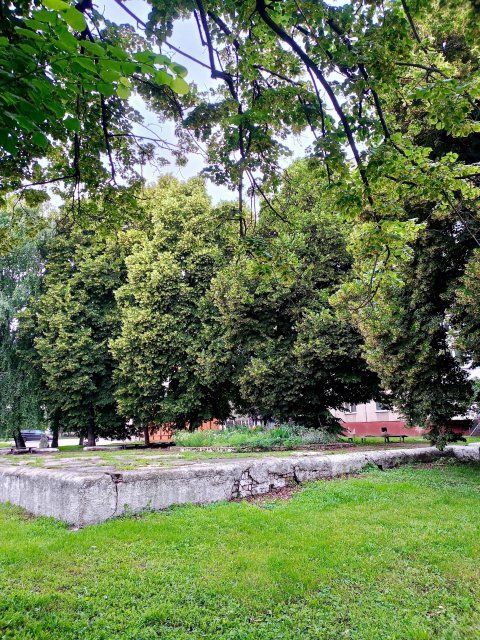 Выбрали нового народного корреспондента «Истоков» 