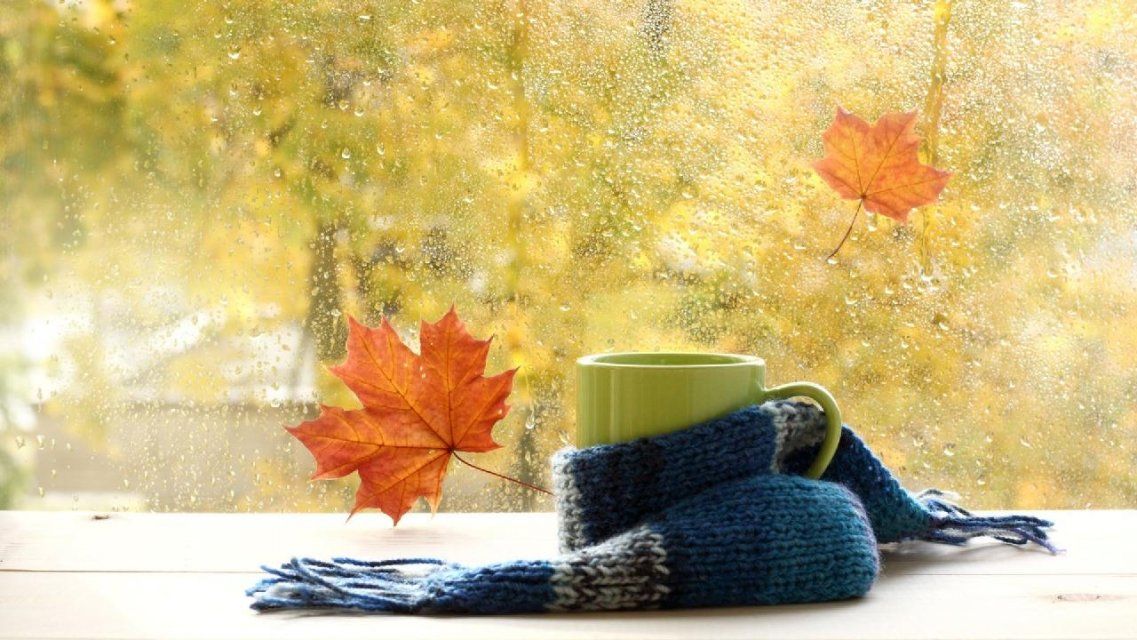 Тепло, но дождливо: погода в Орле на 6 ноября