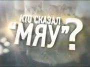 Кто сказал Мяу 63