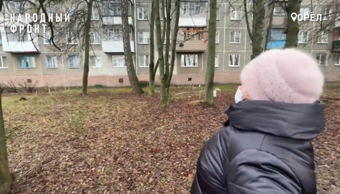 Орловчане пожаловались в Народный фронт на сухие деревья