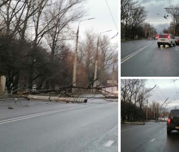 Глазами очевидцев: в Орле упавшее дерево уронило опору электропередач