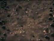 Навигатор цифрового мира 74