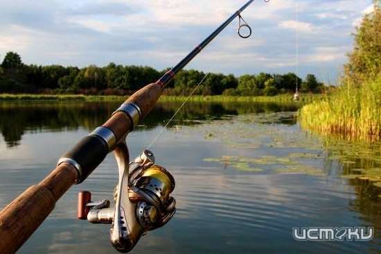 На орловских водоемах из-за нереста ввели ограничения на рыбалку