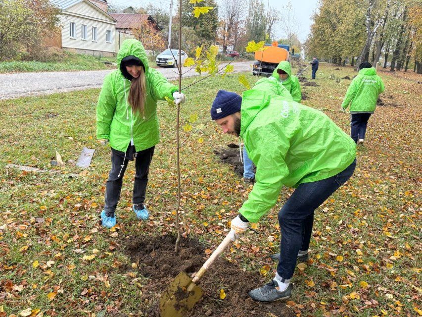 Кленовые и липовые аллеи появятся в орловских парках благодаря акции «Сохраним лес»