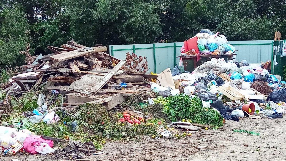 Орловчане хотят узнать, что случилось с мусорщиками