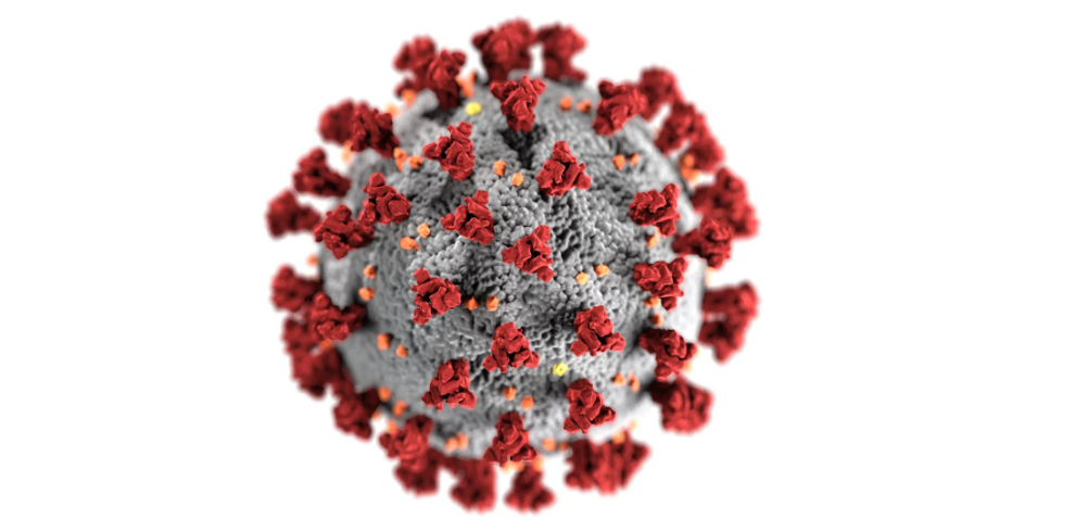 В Орловской области 204 человека заболели коронавирусом
