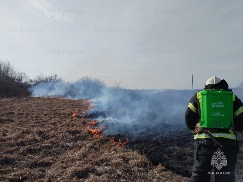 В Орловской области за сутки зафиксировано 38 выездов на тушение сухой травы и мусора