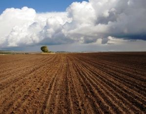 Мясокомбинат заливает сельскохозяйственные земли канализационными стоками