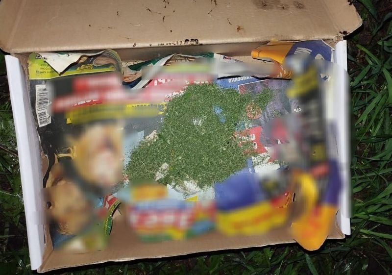 На жительницу Мценска завели дело за выращивание запрещенного растения