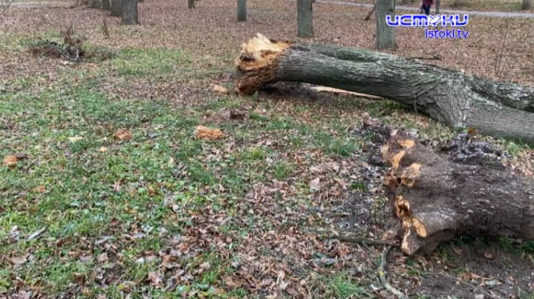 Редкий в наших местах порывистый ветер до 30 м/с не пощадил символ орловского края. Как пережил наш регион непогоду?