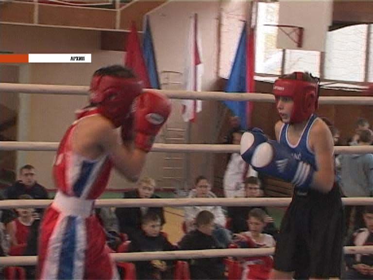 Боксеры вернулись с медалями