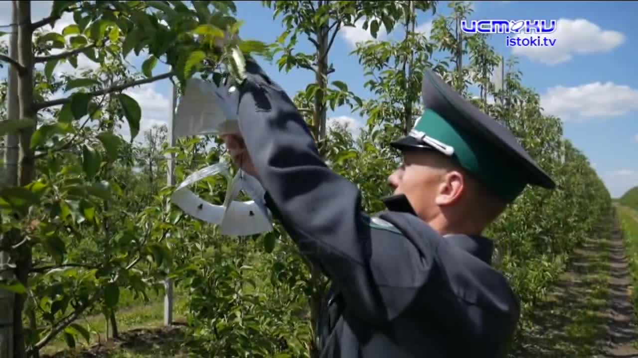 Экспертное мнение 21.05.2025