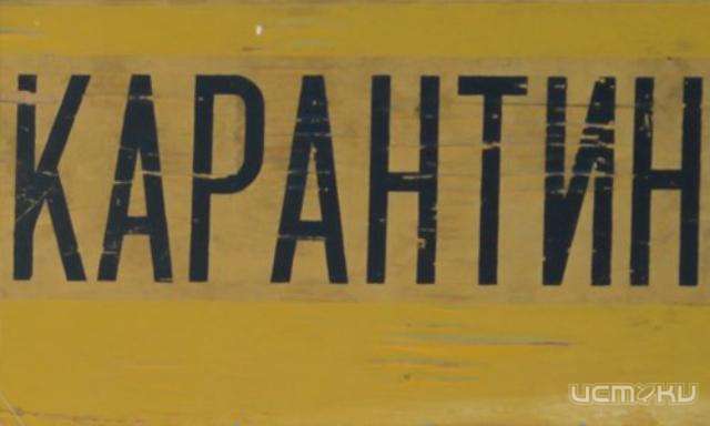 В Болхове сняли карантин по бешенству