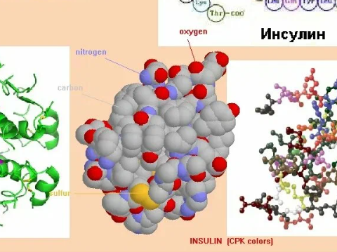 "Плюс 100 миллионов"
