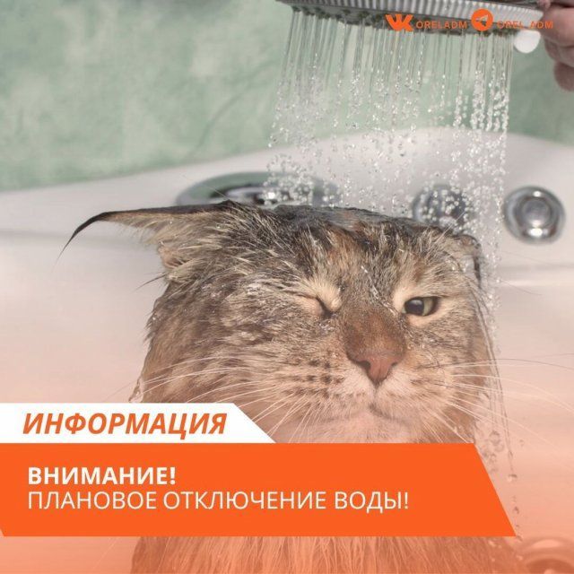 В Орле и Орловском муниципальном округе частично отключат воду 