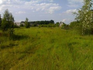 В Орле нет свободных земельных участков 