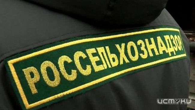 23,5 тыс. тонн орловского зерна забраковал Россельхознадзор