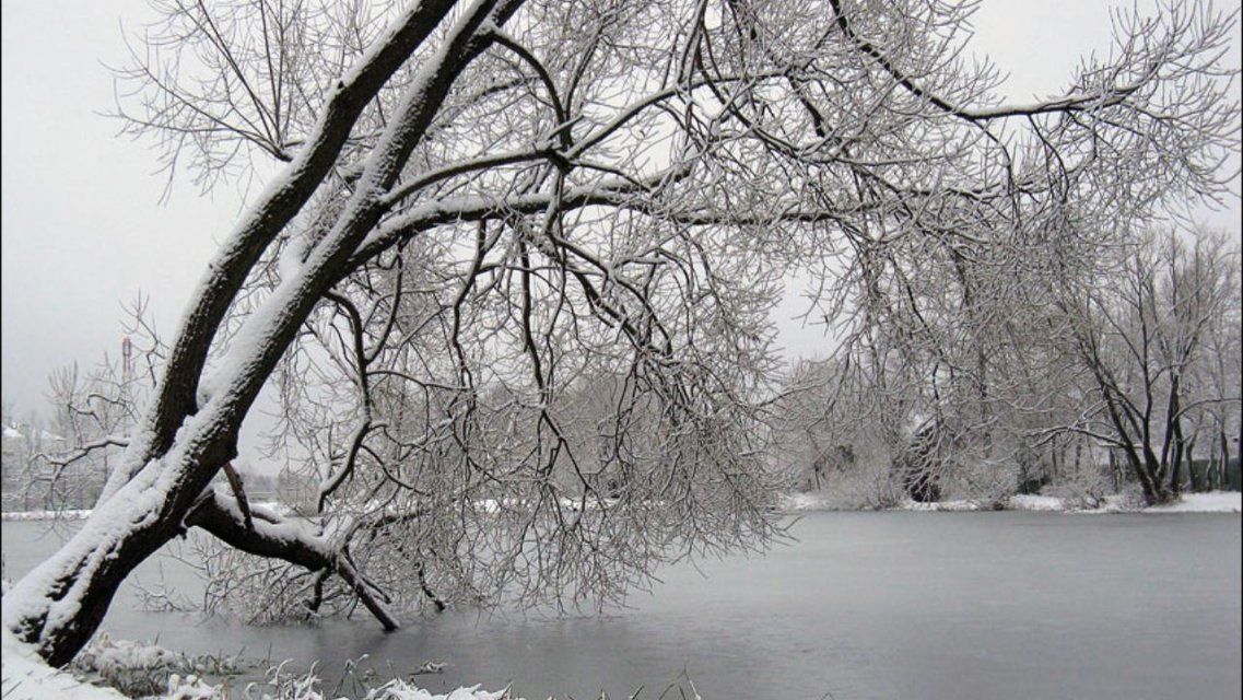 Сегодня в Орле будет облачно и небольшой снег