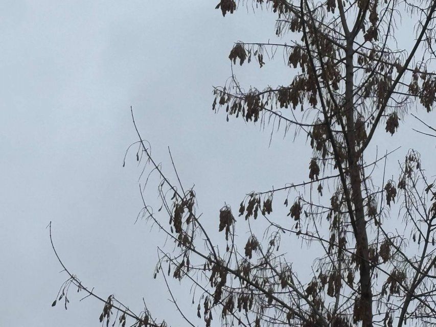 На Орловщине объявлена авиационная опасность. Будьте бдительны! UPD: отмена в 14:43