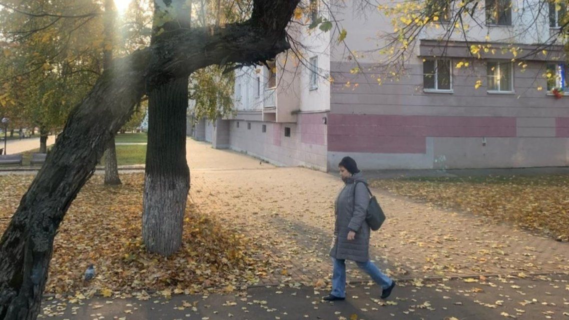 Пятница порадует орловчан теплом и солнцем