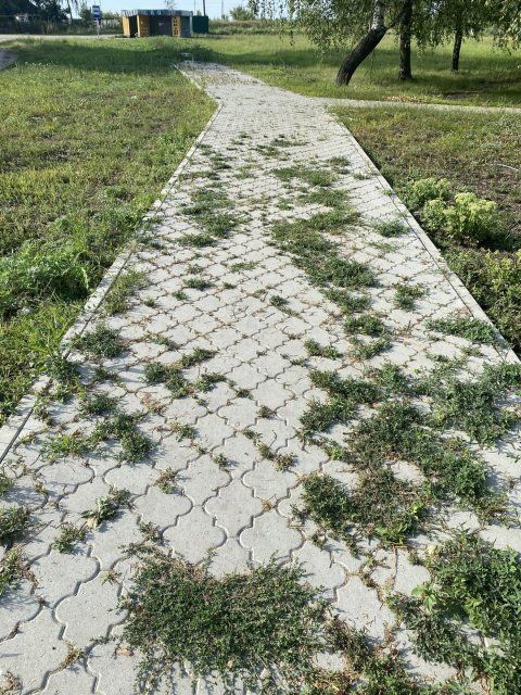 Благоустроенные территории в Ливенском районе заросли сорняками