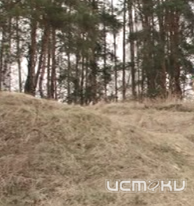 Орловщина в списке. Авиалесоохрана опубликовала прогноз на август о горимости лесов Орловщина в списке. Авиалесоохрана опубликовала прогноз на август о горимости лесов