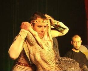 Крокодилы могут петь, а собаки говорить. Цирк Дарьи Костюк доказал 