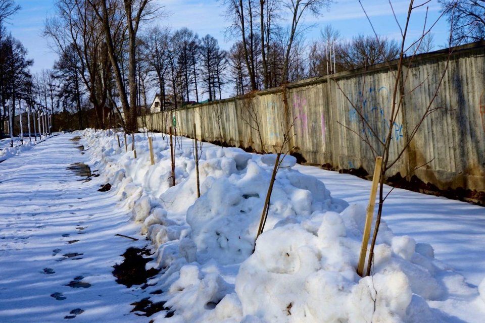 В мэрии рассказали о силе весеннего приветливого солнца