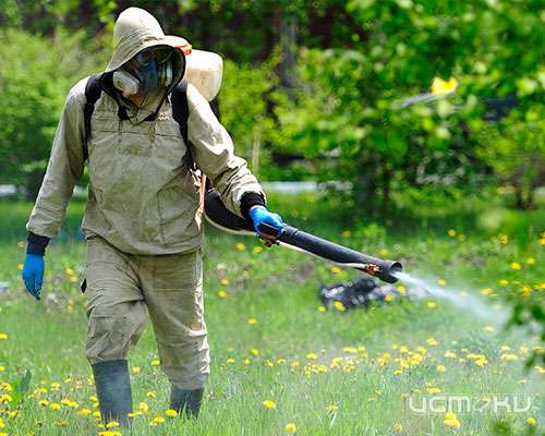 В Орле Детский парк закроют на три дня из-за обработки от клещей