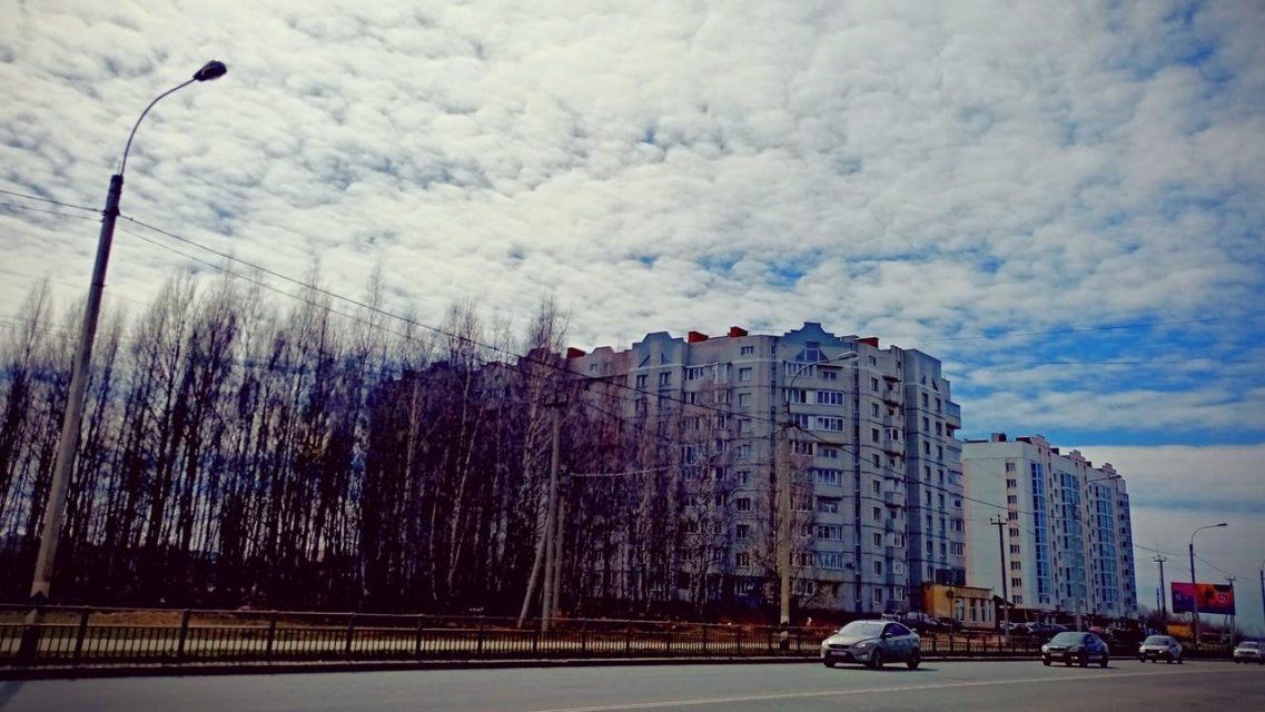 Сегодня в Орле воздух прогреется до +12 °C 