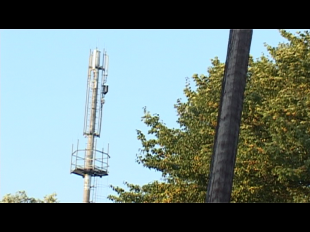 Вышка сотовой связи прямо на территории школы 