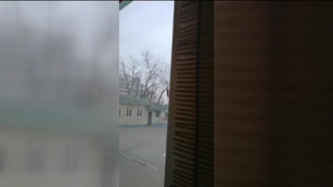 Обед в компании рыжих и усатых: в орловском кафе замечены тараканы