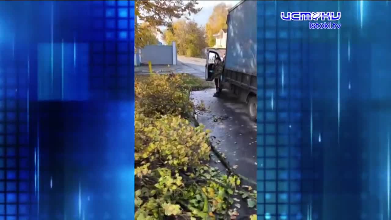 Орловчане стали реже болеть ОРВИ. Экспресс - новости.