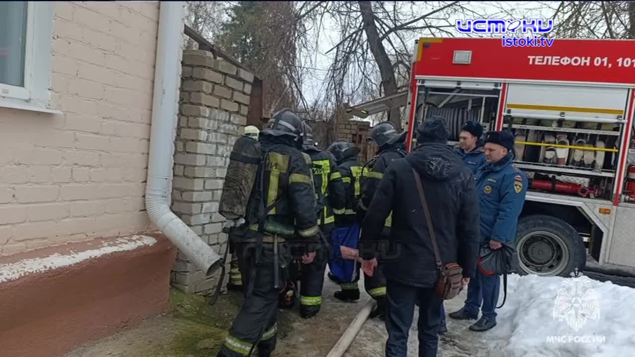 Сколько стоит поздравить цветами милых женщин? Экспресс - новости.