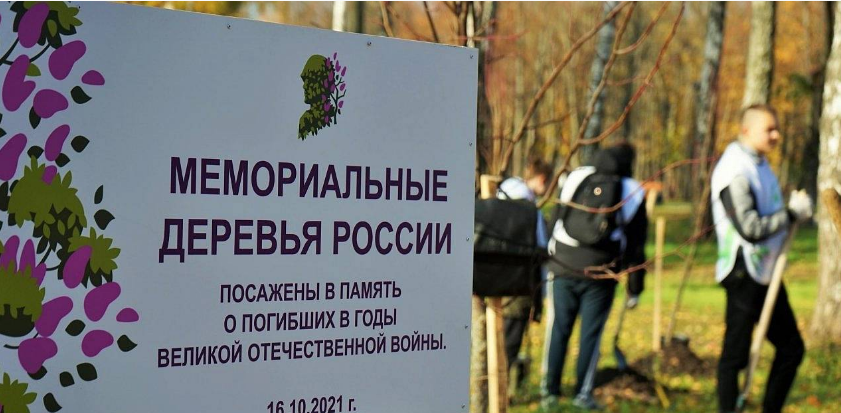 В Орле в честь Дня отца высадили 40 лип