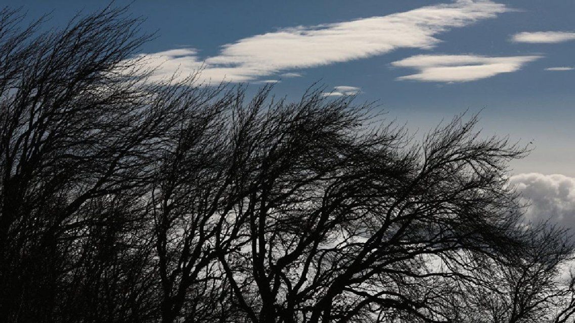 Хмуро и пронизывающий ветер: погода в Орле на 17 февраля