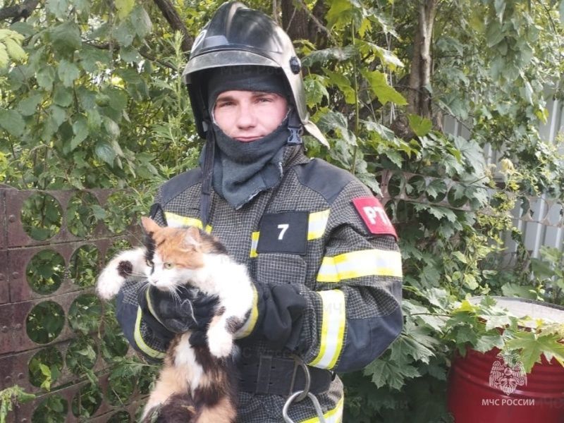 Орловские спасатели рассказали о помощи животным