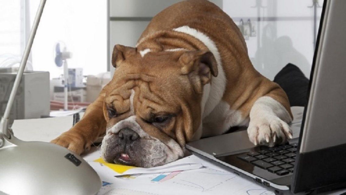 Более 5500 орловчан ушли на удаленку