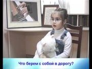 Что берем собой в дорогу