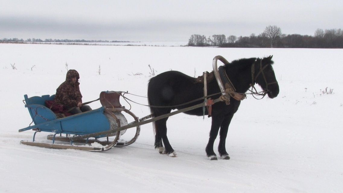 В орловской глубинке девочку с ДЦП вынуждены возить в школу на лошади