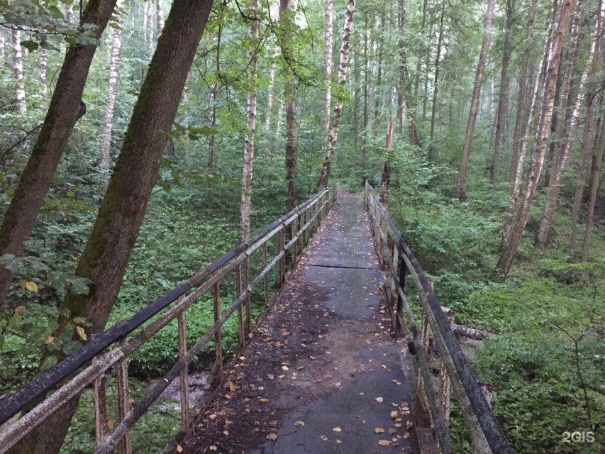 В Орле задержан очередной наркоторговец 