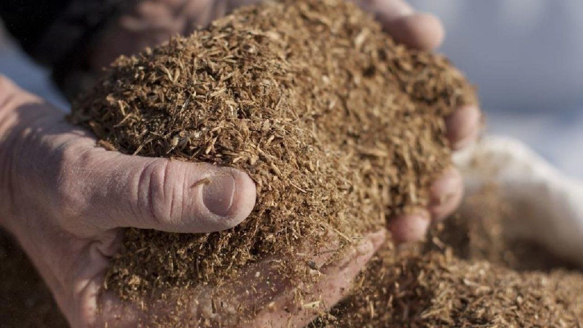 Завод первого резидента особой экономической зоны «Орел» запустят в 2023 году