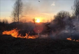 В Орловской области участились случаи возгорания сухой травы