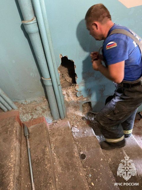 Мценские спасатели вызволили из бетонного плена кошку с котенком