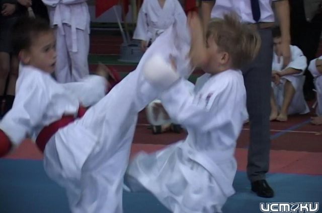 Восточные единоборства